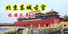 操美女污污国产中国北京-东城古宫旅游风景区